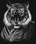 (image for) Dragon Tiger